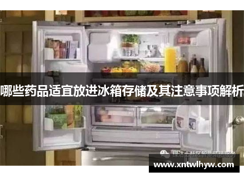 哪些药品适宜放进冰箱存储及其注意事项解析